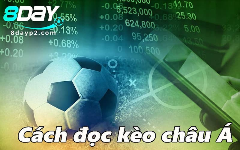 Hướng dẫn đọc kèo châu Á chuẩn xác cùng 8DAY