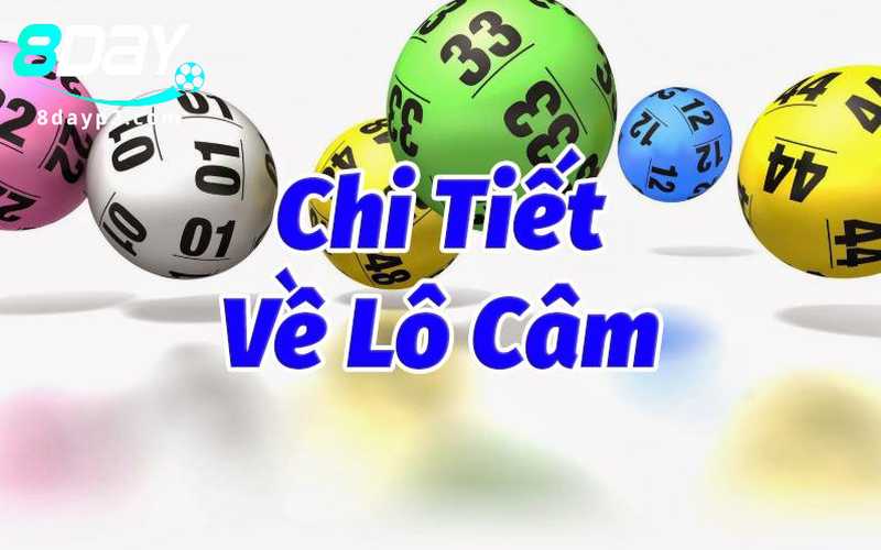 Mẹo đánh lô câm bách chiến bách thắng tại nhà cái 8Day